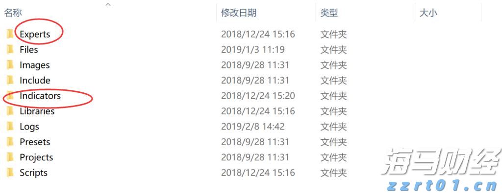 广东湛江：中华白海豚种群稳定 生态保护显成效