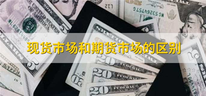 广东湛江：中华白海豚种群稳定 生态保护显成效