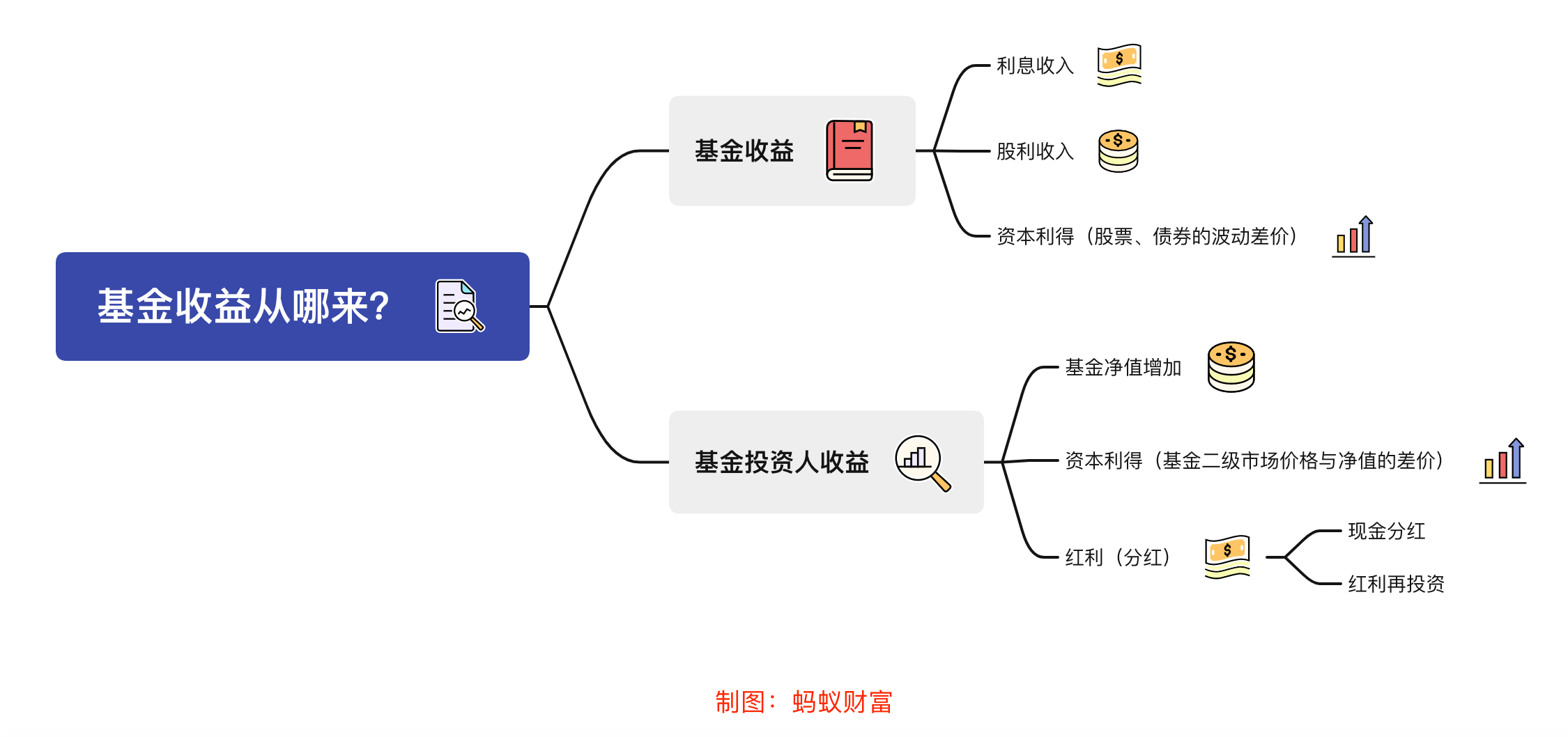 霞山区“红树林保护协作探索工作室”正式揭牌