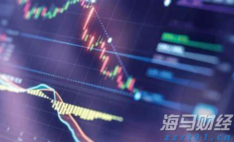 市领导到桂平平南调研维护社会稳定工作